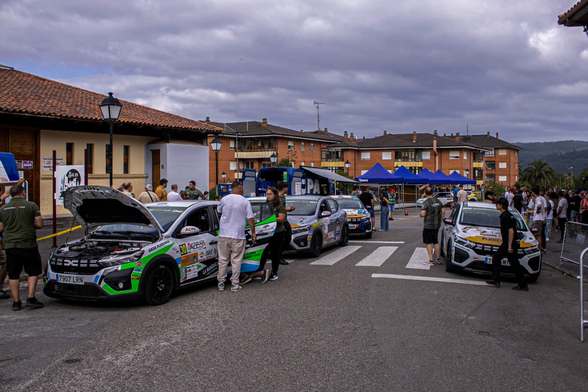 Rally Virgen del Viso