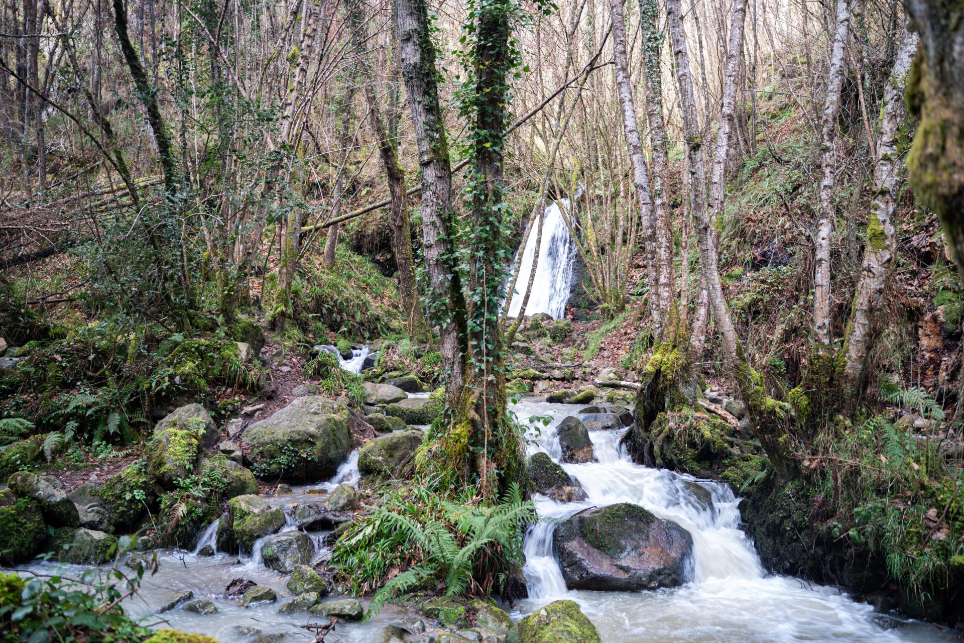 Cascada del Nonaya