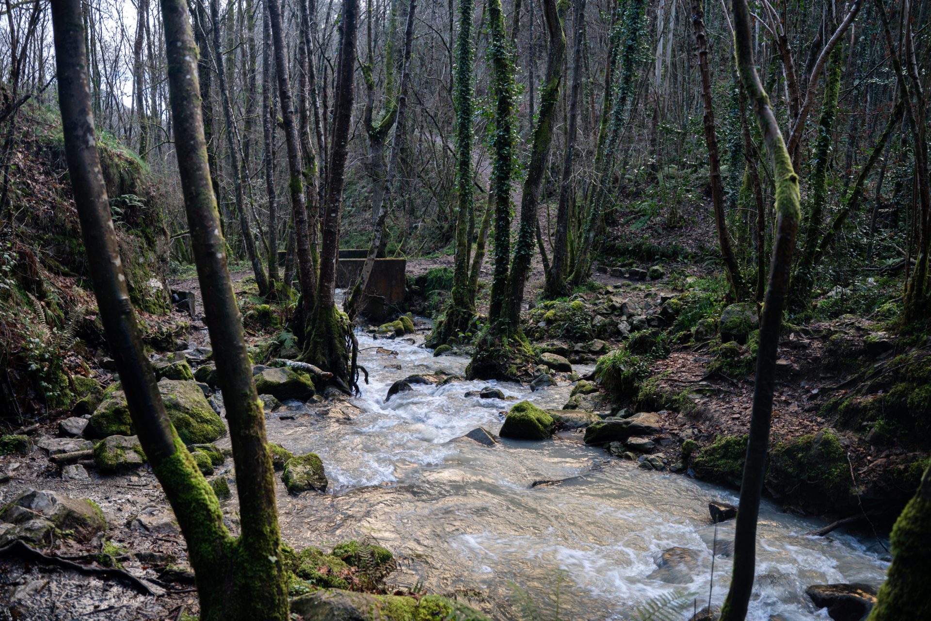 Cascada del Nonaya - 6