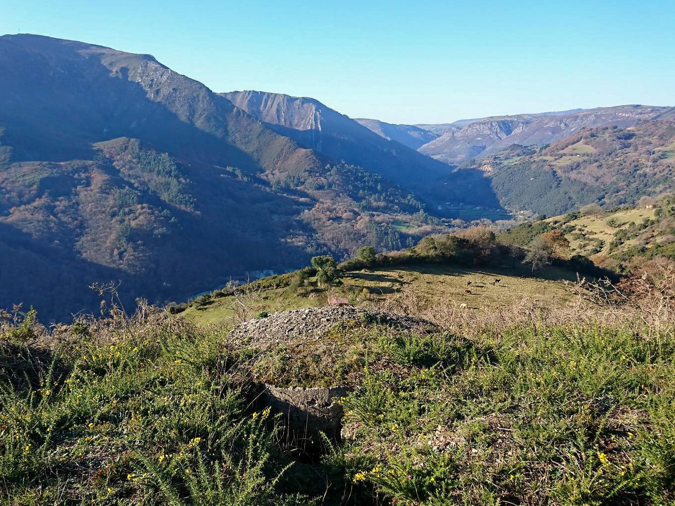Salas desde la Trinchera - 3