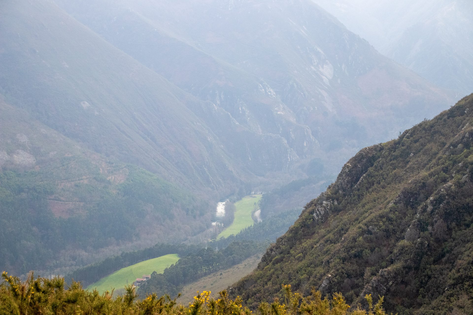Sector Narcea