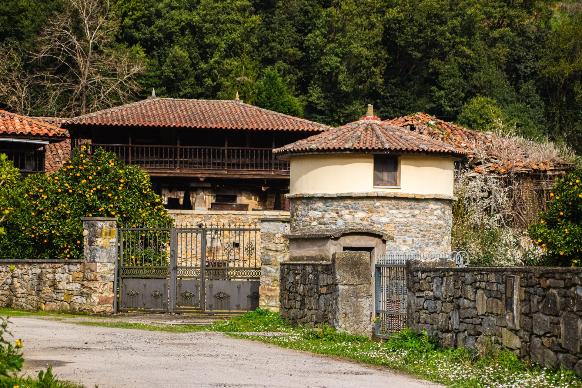 Sector Narcea - 5